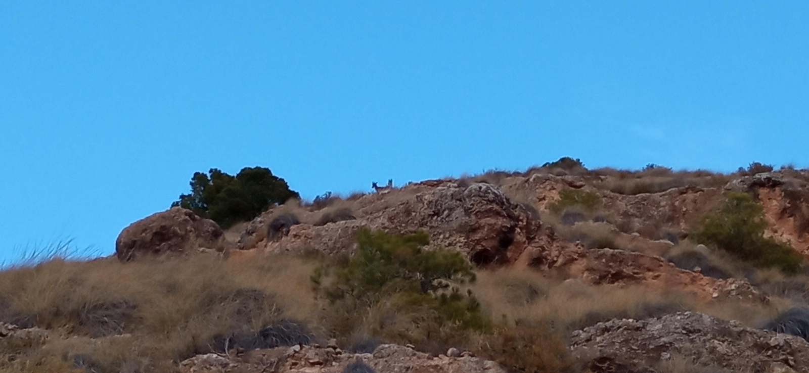 Las imágenes de la ruta Hinojares - Cuenca - Hinojares