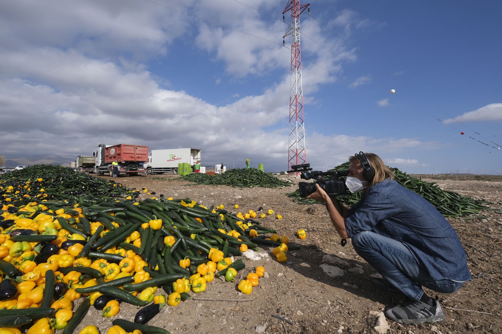 Fotogalería destrucción de pepinos en Almería