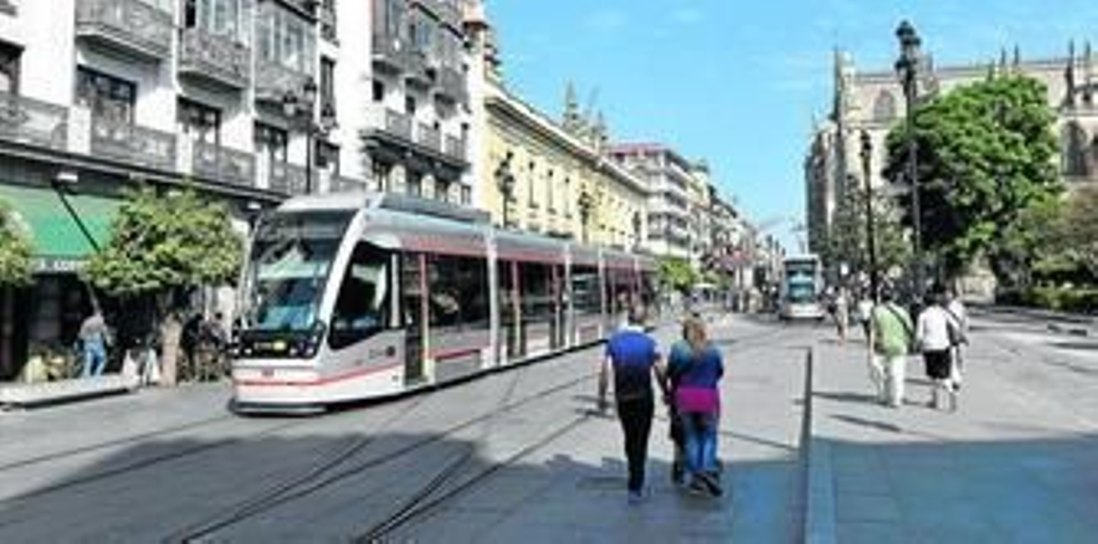 Un pasillo de sombra para la Avenida