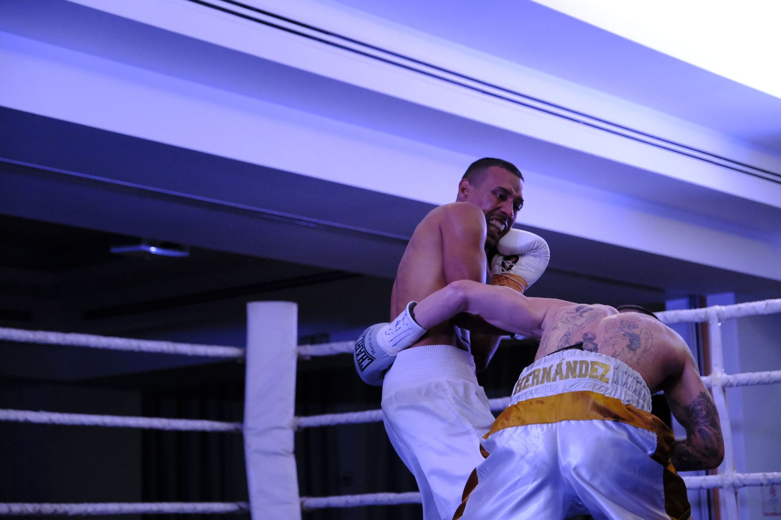 Fotogalería de la velada de boxeo Diamonds Boxing