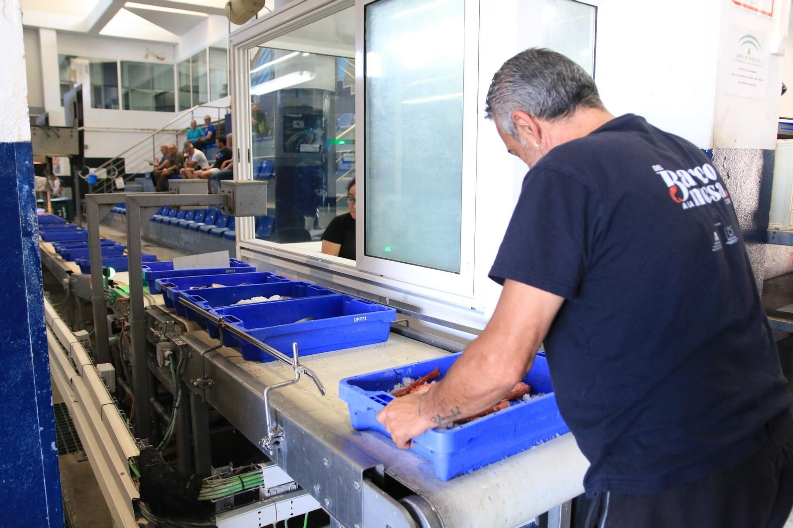 Vea cómo se descargan y se venden en la lonja la Gamba Roja de Almería