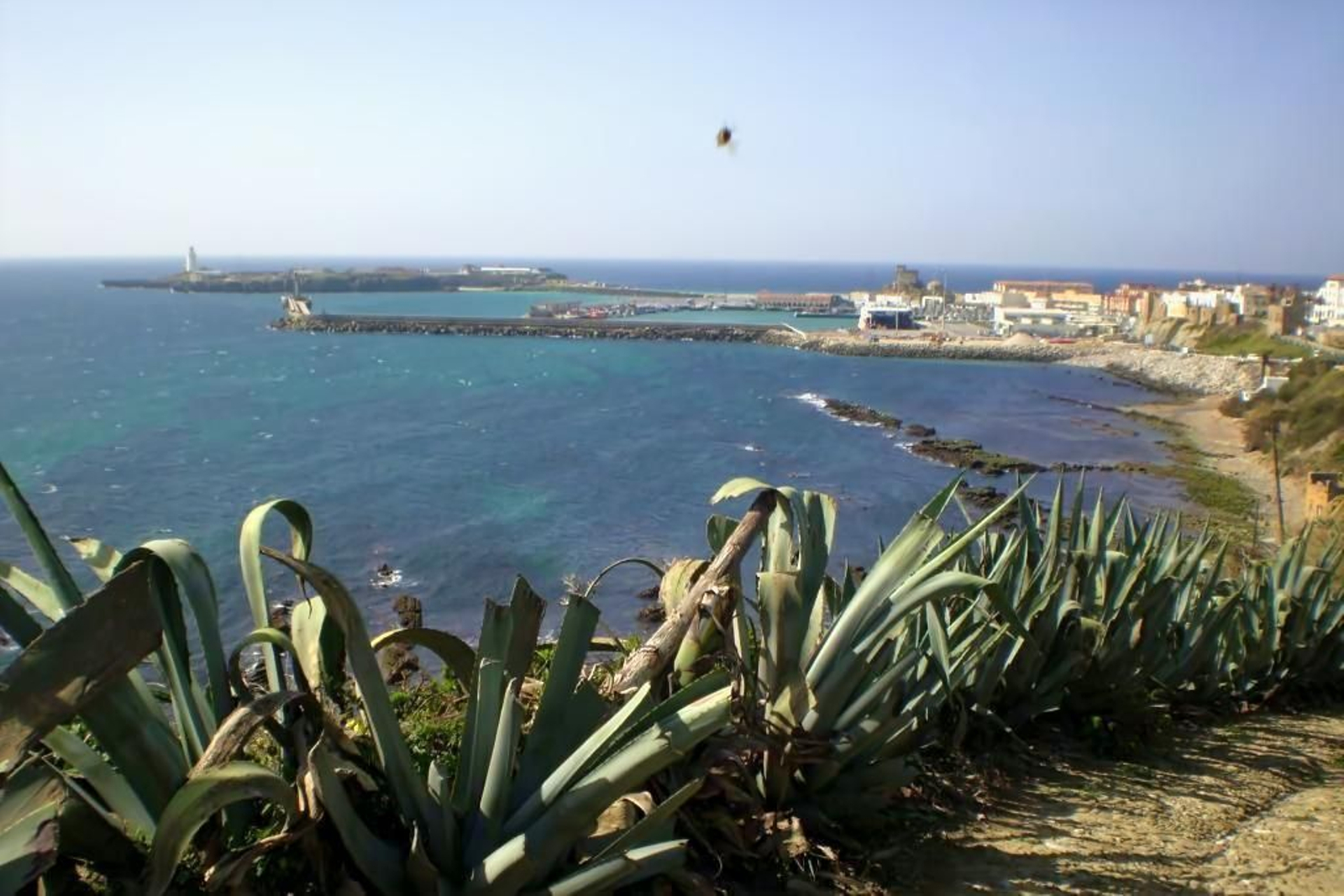 Vistas desde uno de los puntos de la ruta Colada de la Costa que une Tarifa y Algeciras.