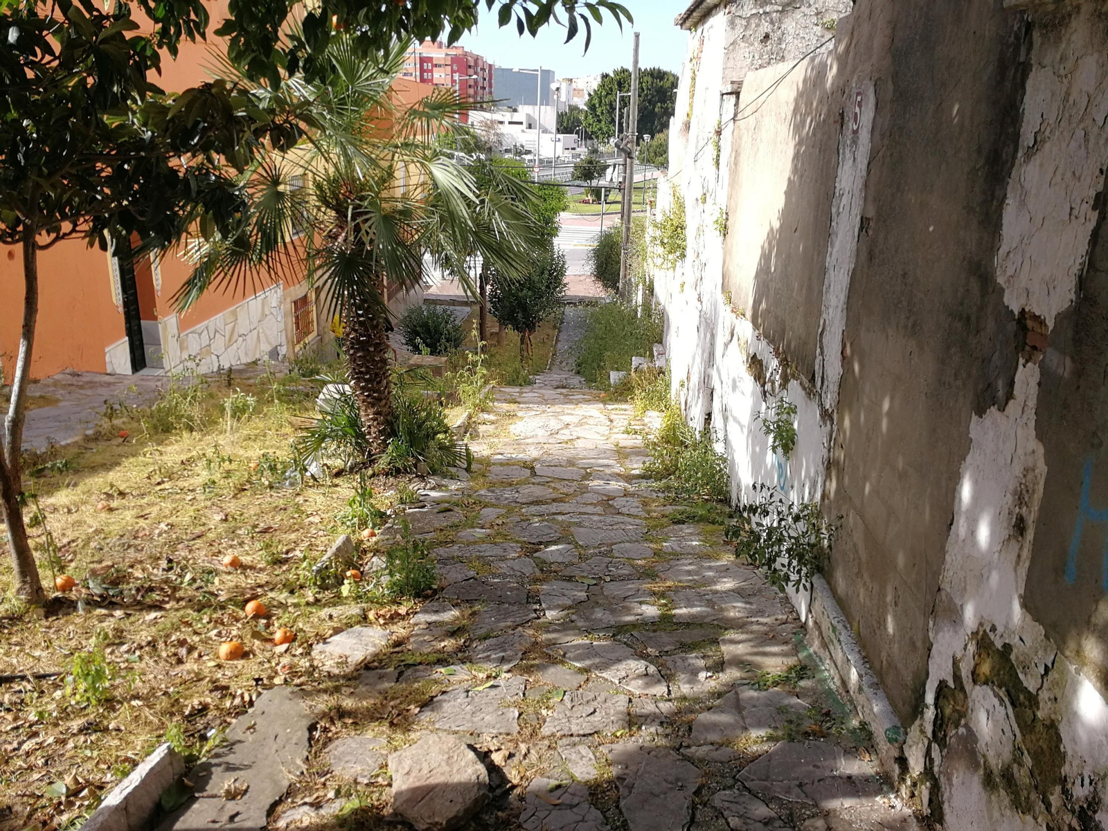 El pasillo, con los edificios abandonados, en el entorno de la calle Carteya.