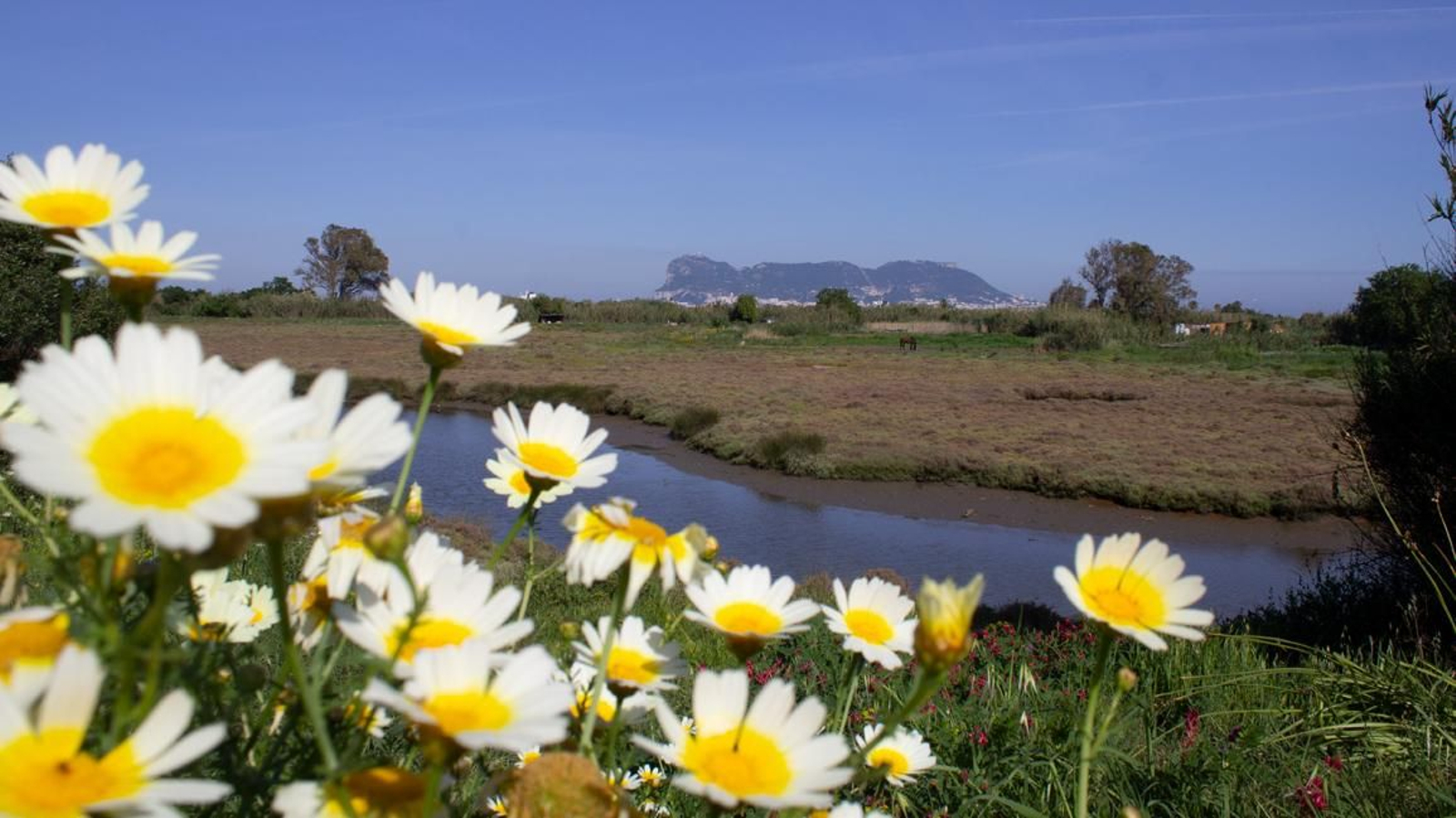Fotos del parque municipal El Torrejón