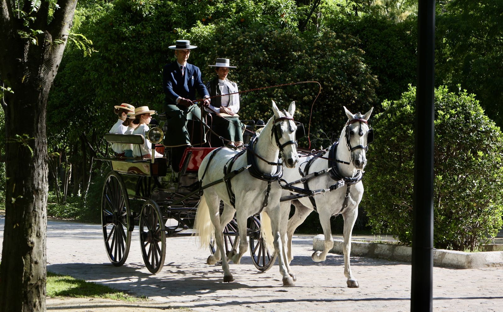 X copa CIAT   Concurso de Enganches