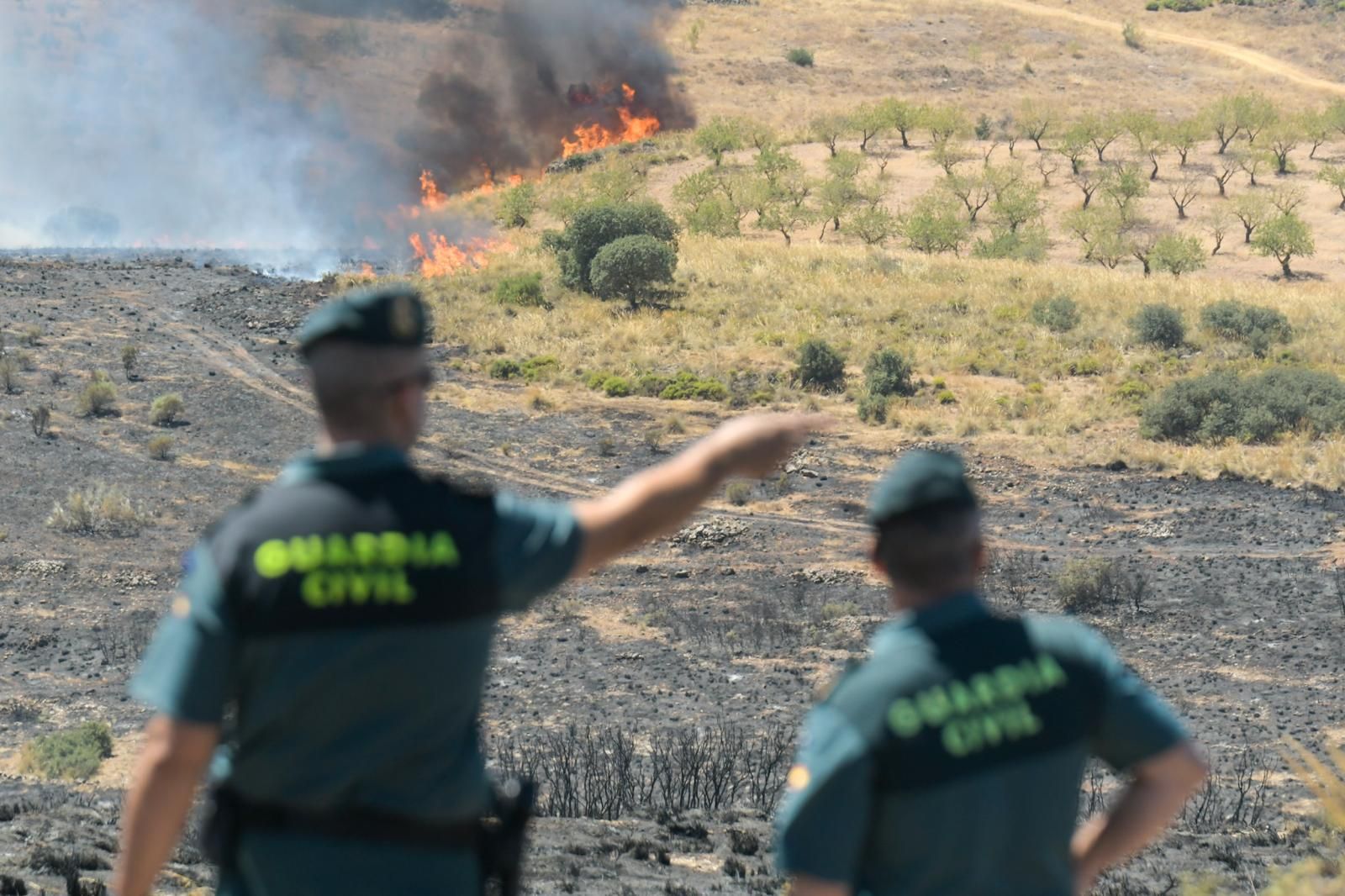 El incendio en el parque eólico de Padul, en fotos