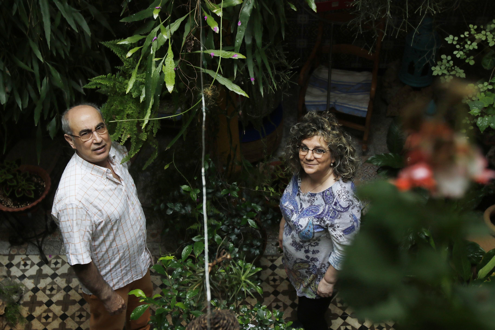 Los Patios de Córdoba en tiempos de crisis: Alfonso XII, 29