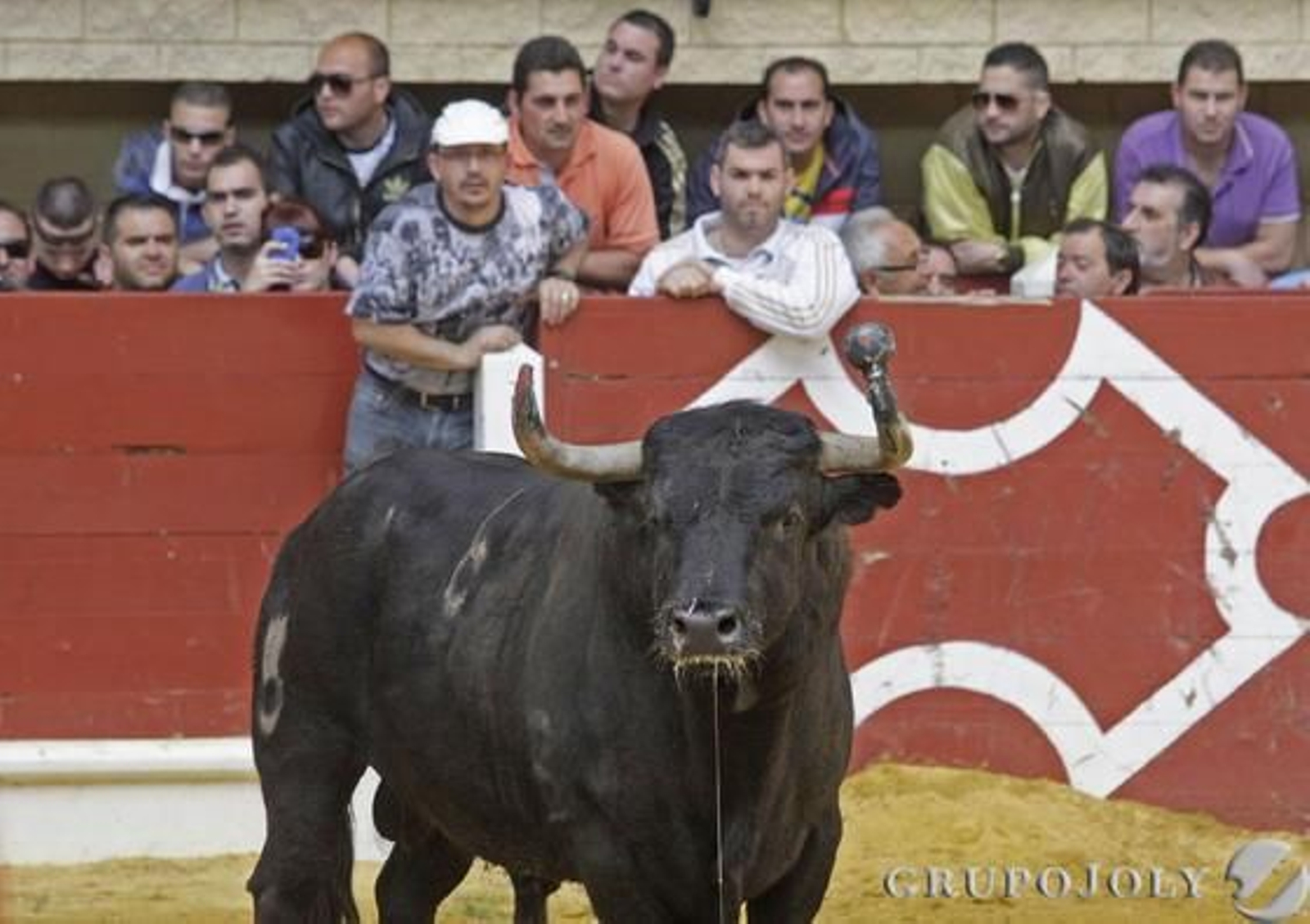 Foto: J.M.Q./Erasmo Fenoy