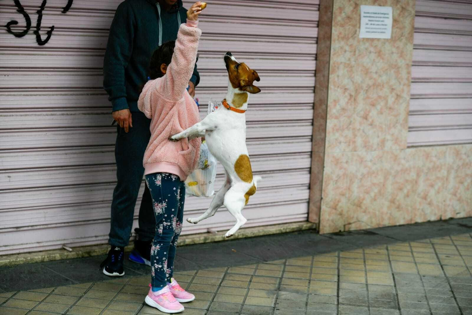 Los niños salen a las calles en Granada