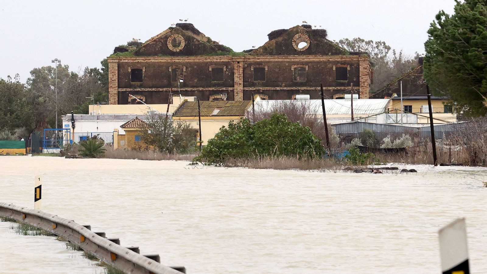 Imágenes del paseo rural por Jerez en el estreno de la borrasca Marta