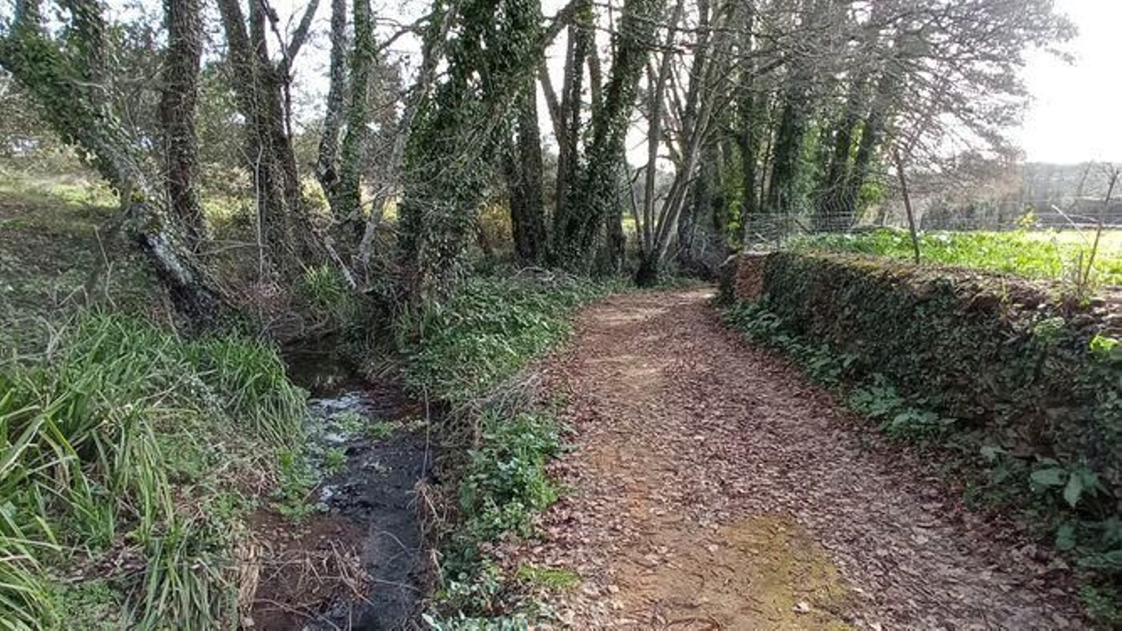 Ruta circular de la Dehesa de Valdelama