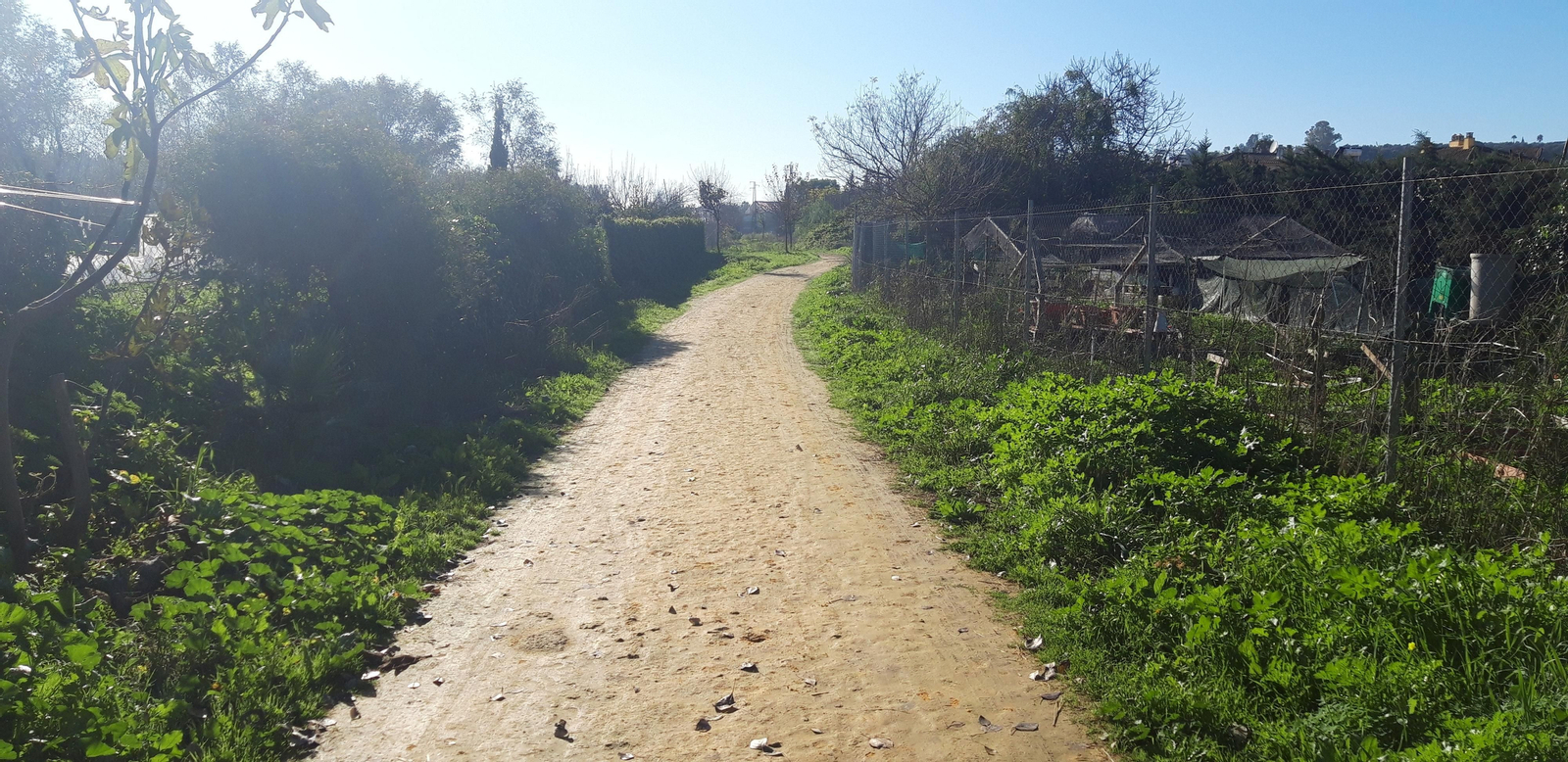 Ruta por la ribera del Guadalquivir entre Sevilla y Coria del Río