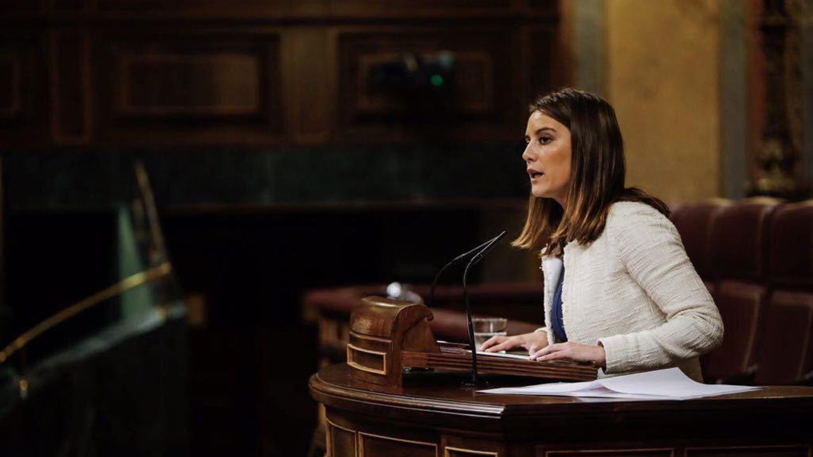 La diputada de CS por Sevilla Virginia Salmerón. La diputada de CS por Sevilla Virginia Salmerón.