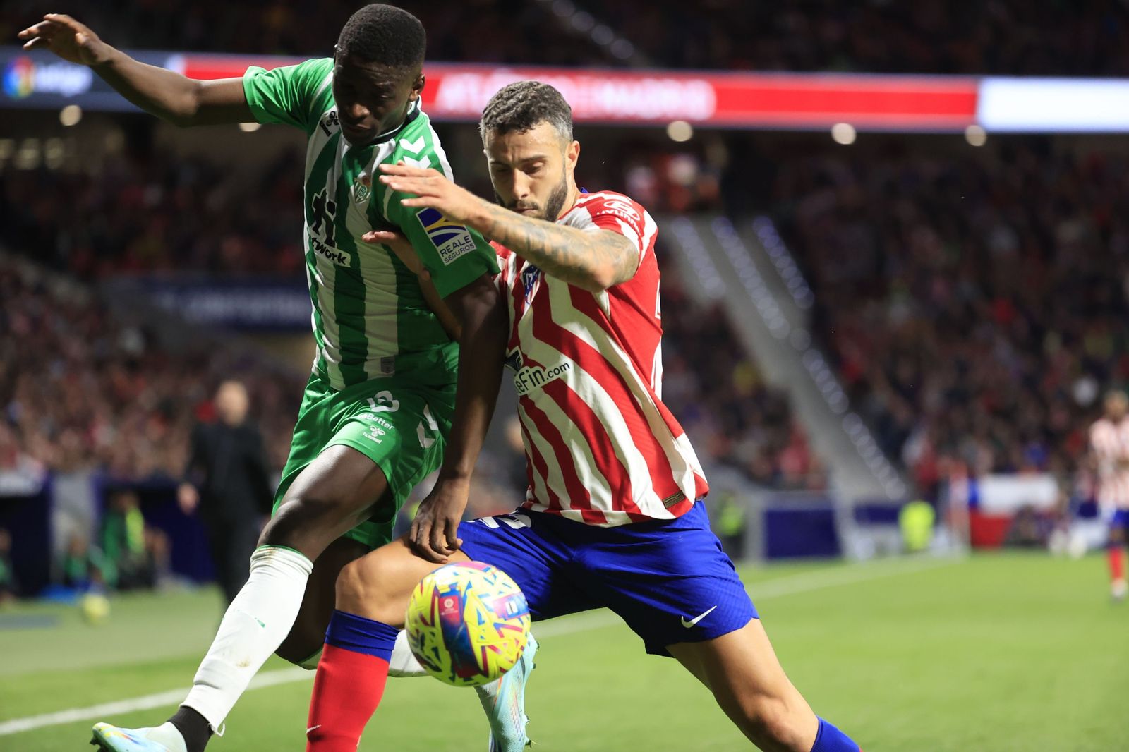 Las fotos del Atlético Madrid - Betis