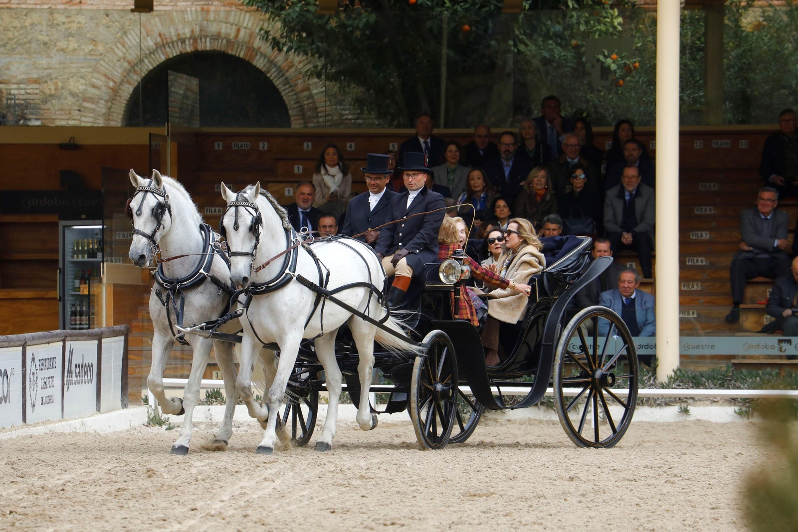 La exhibición de enganches en Caballerizas Reales de Córdoba, en imágenes