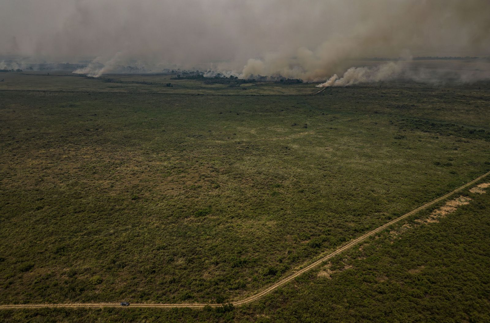 Las llamas convierten en una tumba al aire libre El Pantanal en Brasil