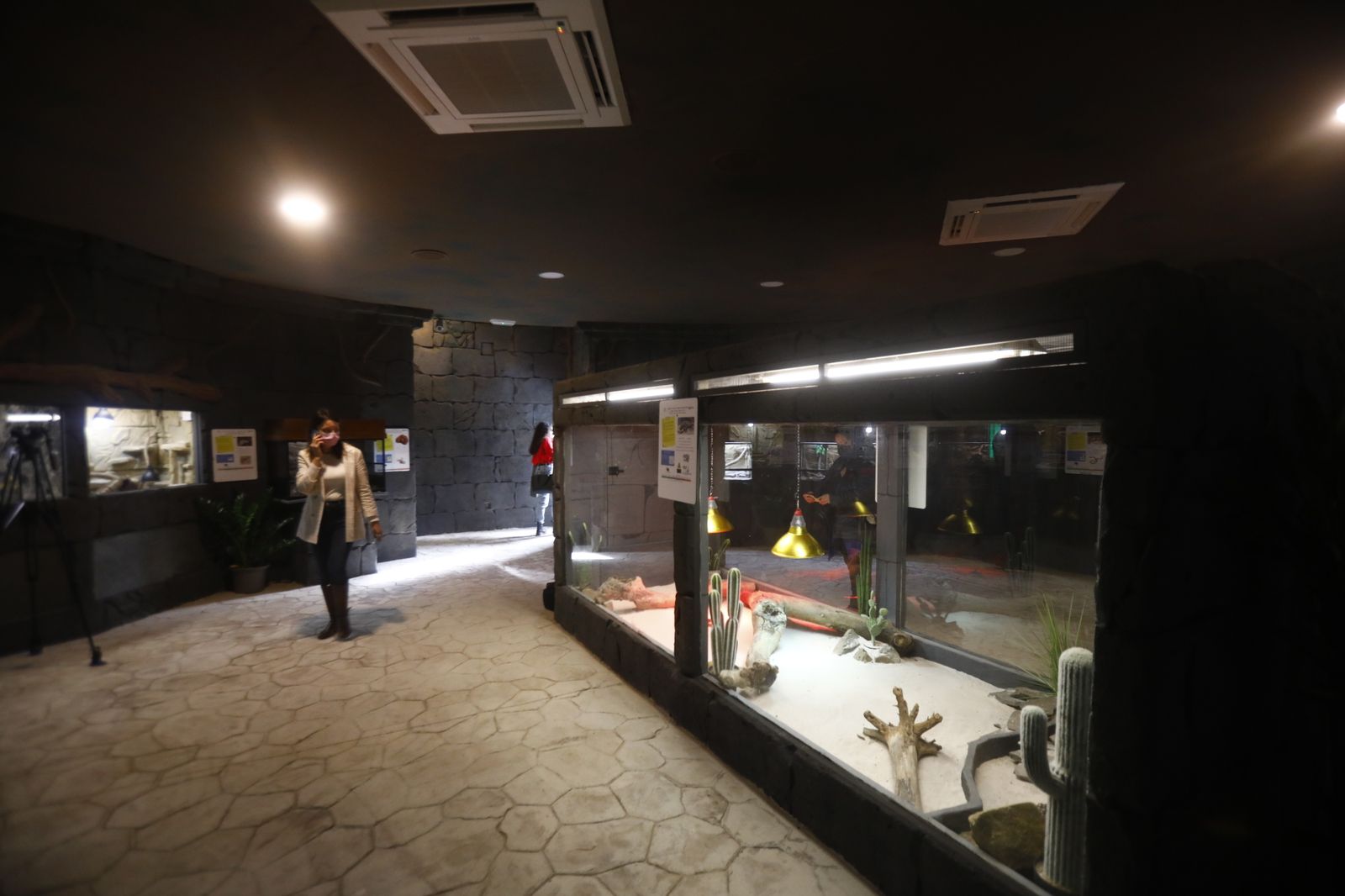 El nuevo reptilario del zoológico de Córdoba, en fotografías