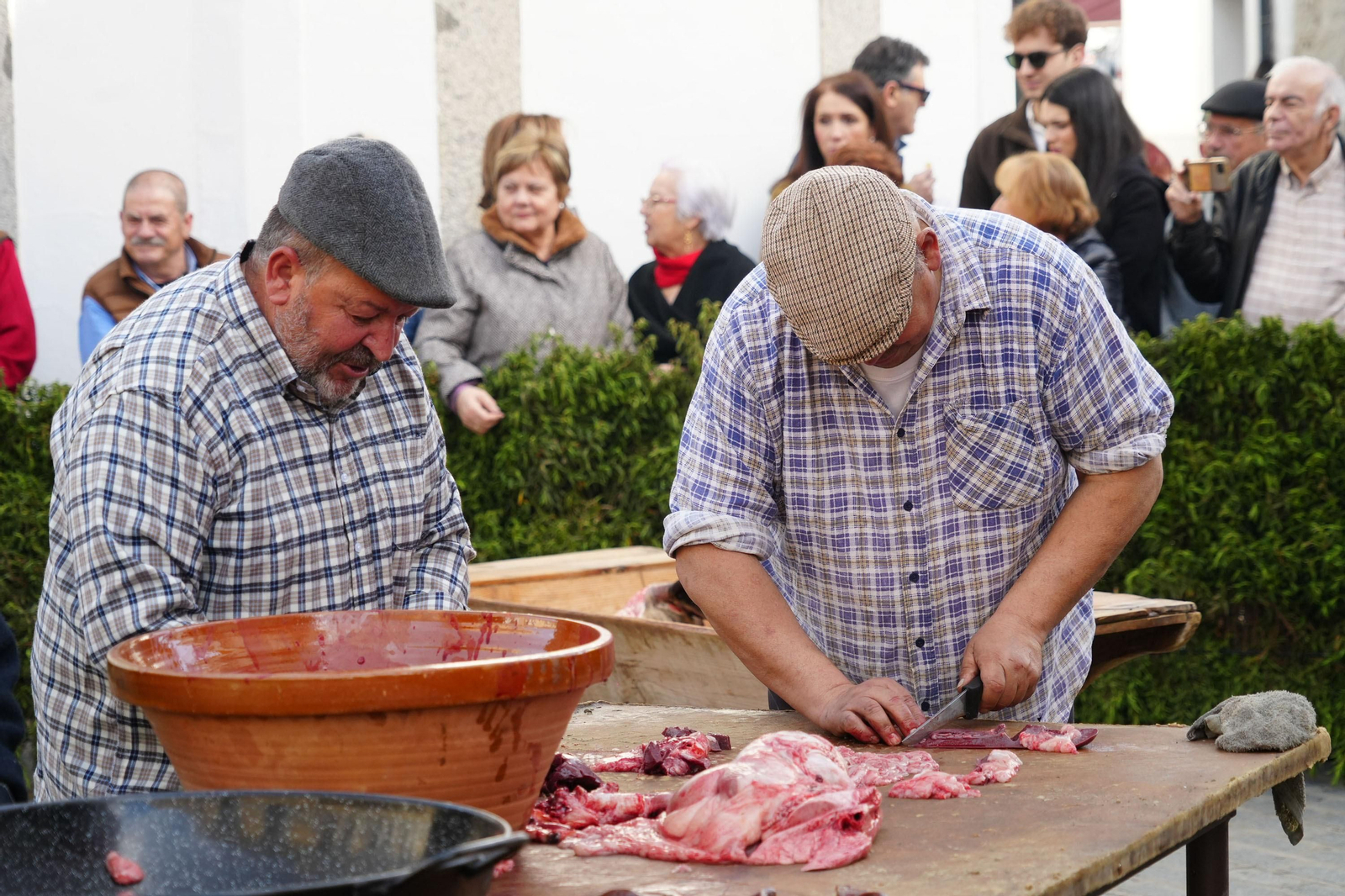 Alcaracejos celebra su Fiesta de la Matanza, en imágenes