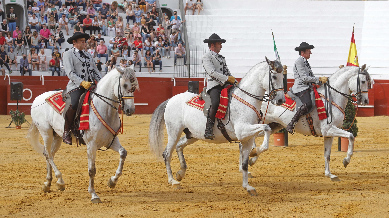 Fotos del espectáculo 'Cómo bailan los caballos andaluces' en San Roque