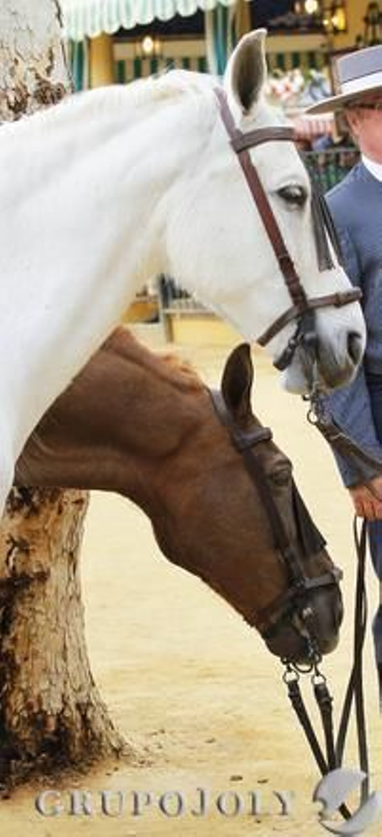 Foto: Victoria Hidalgo