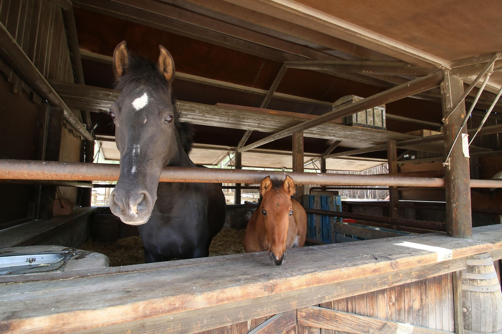 Fotogalería del Oasys Mini Hollywood sin actividad durante el coronavirus
