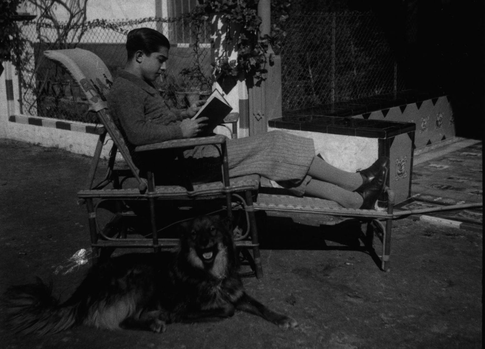 En la finca de Tarazonilla (Carmona) con el perro Chuli de 'Los años irreparables'.