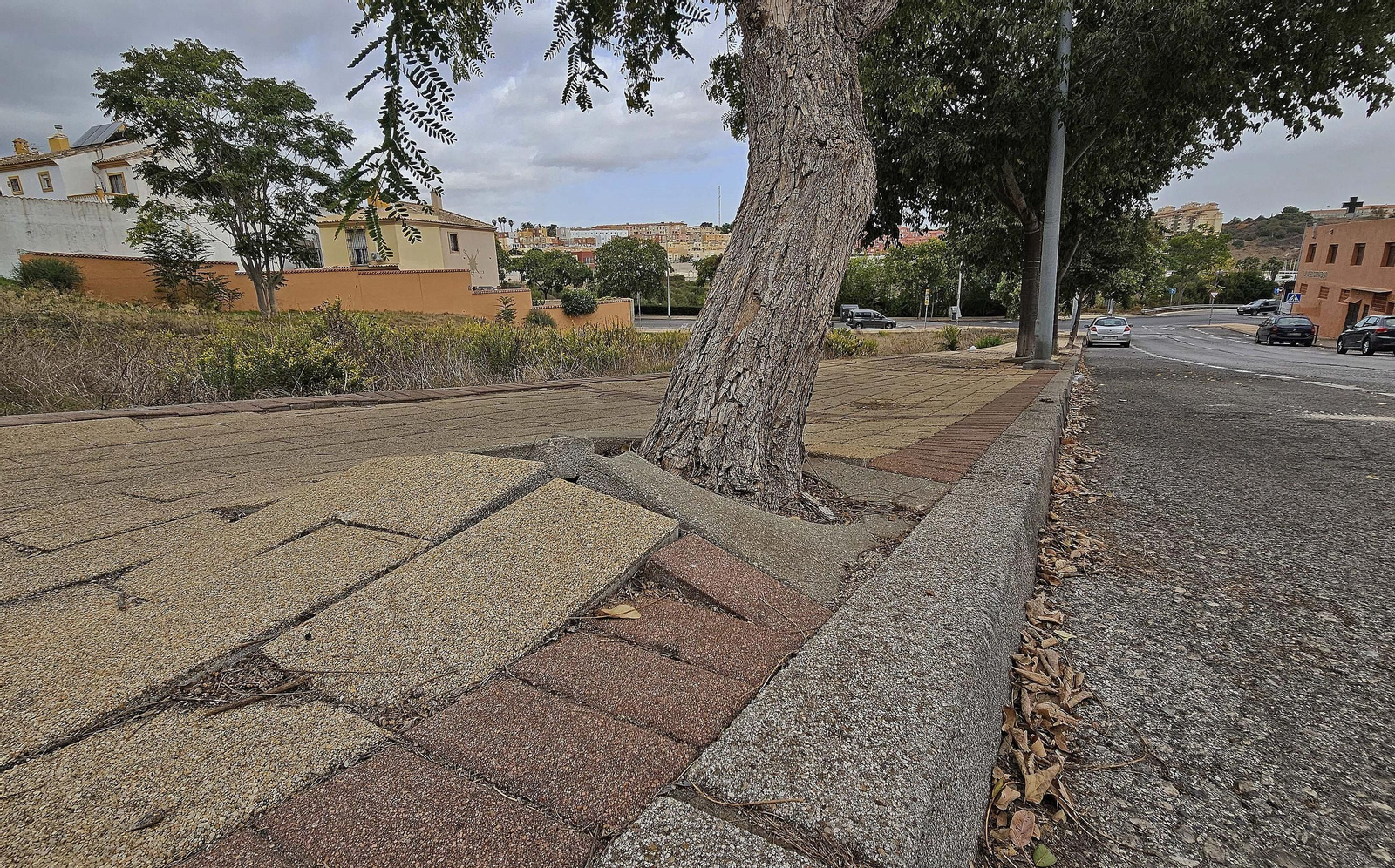 Fotos de los desperfectos en la barriada del Liang Shan Po en Algeciras