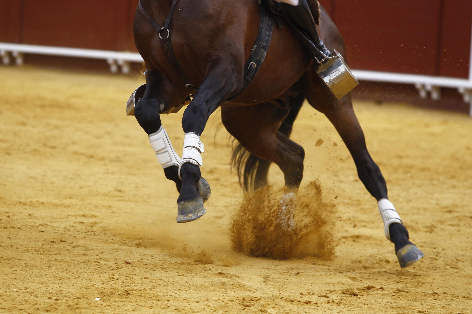 Imágenes de la corrida de rejones en la Feria taurina de Vera 2022