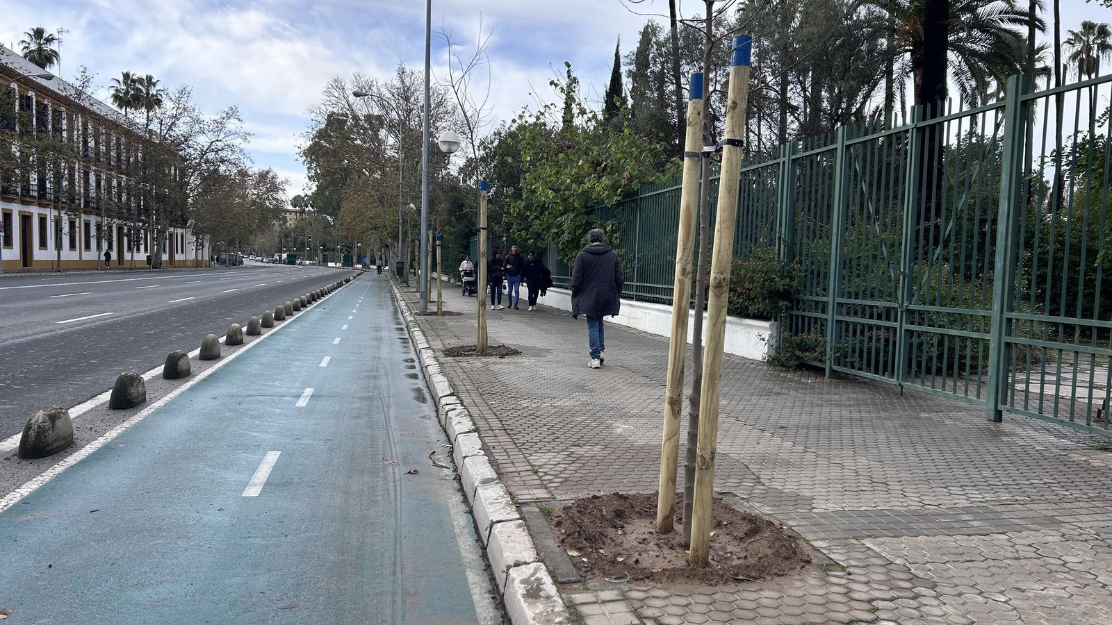 Árboles en la Borbolla