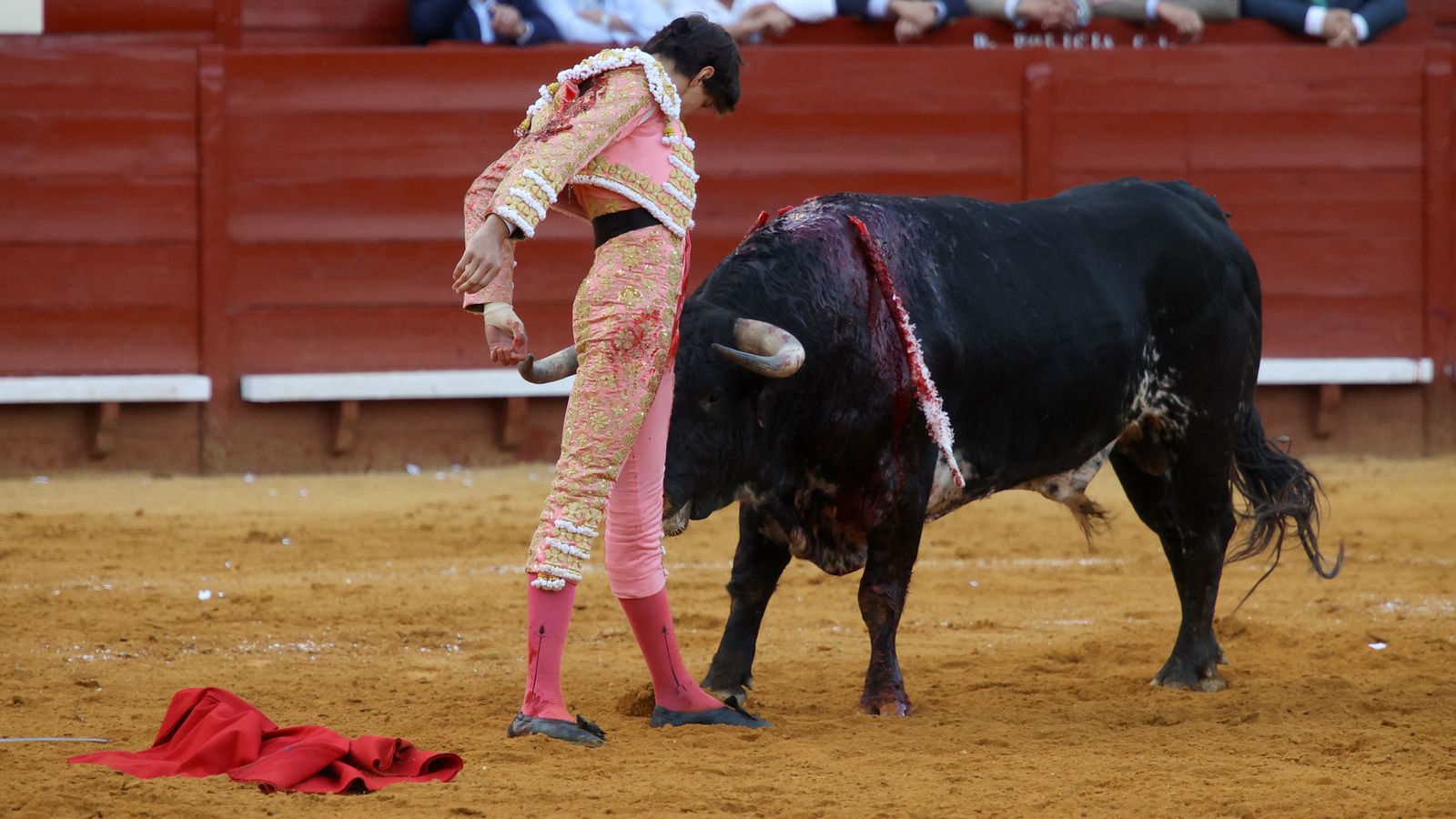 Tercera tarde de toros y última de la Feria de Jerez con Morante, Juan Ortega y Roca Rey