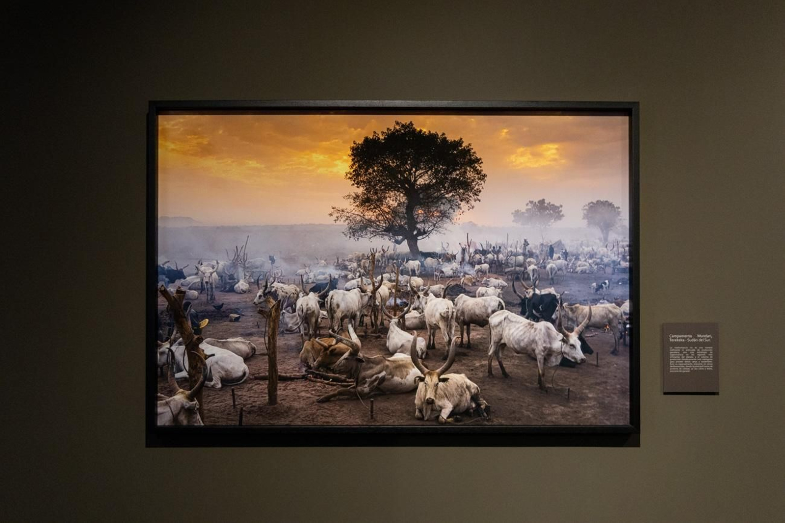 One Health en imágenes: la fotogalería de Katy Gómez que te hará reflexionar sobre la salud global