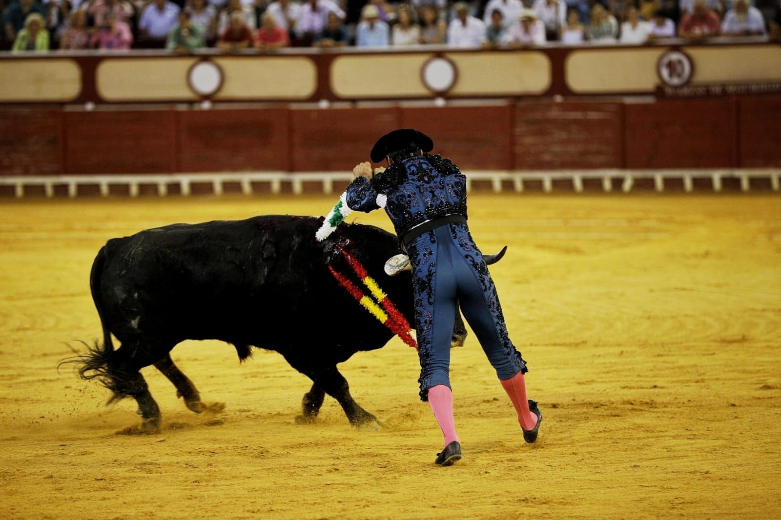Imágenes de la despedida de Enrique Ponce en la plaza de toros de El Puerto