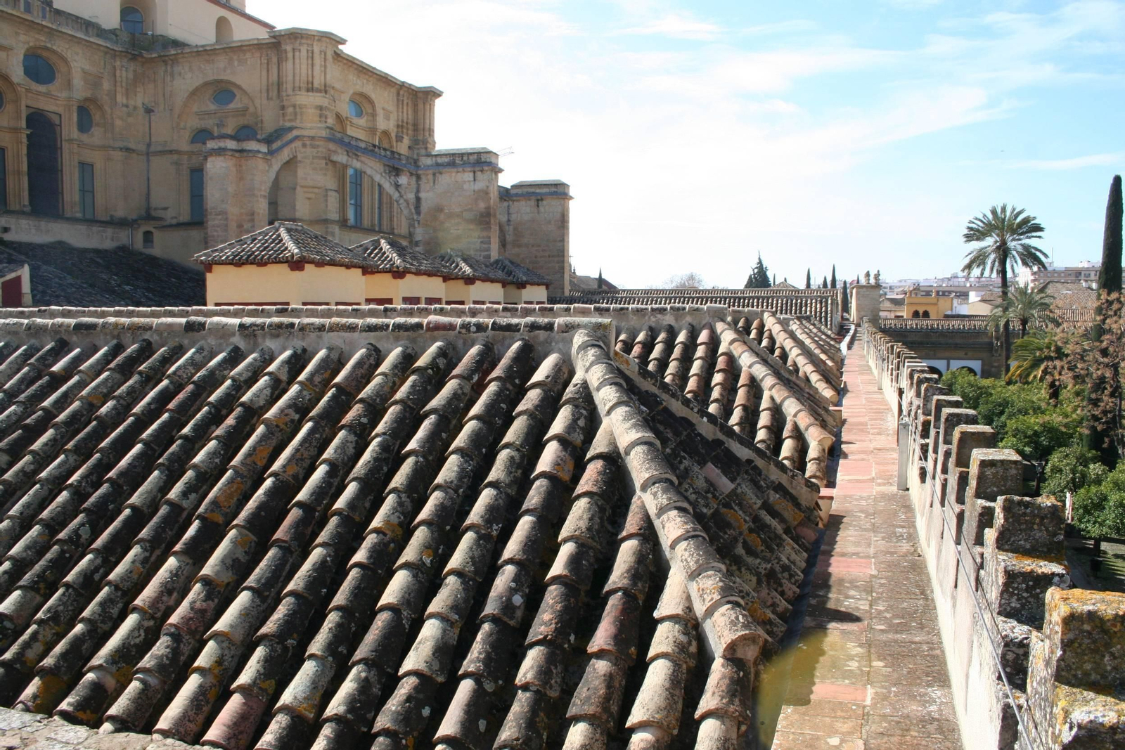 Cubierta de la nave ocho de la Mezquita-Catedral de Córdoba.