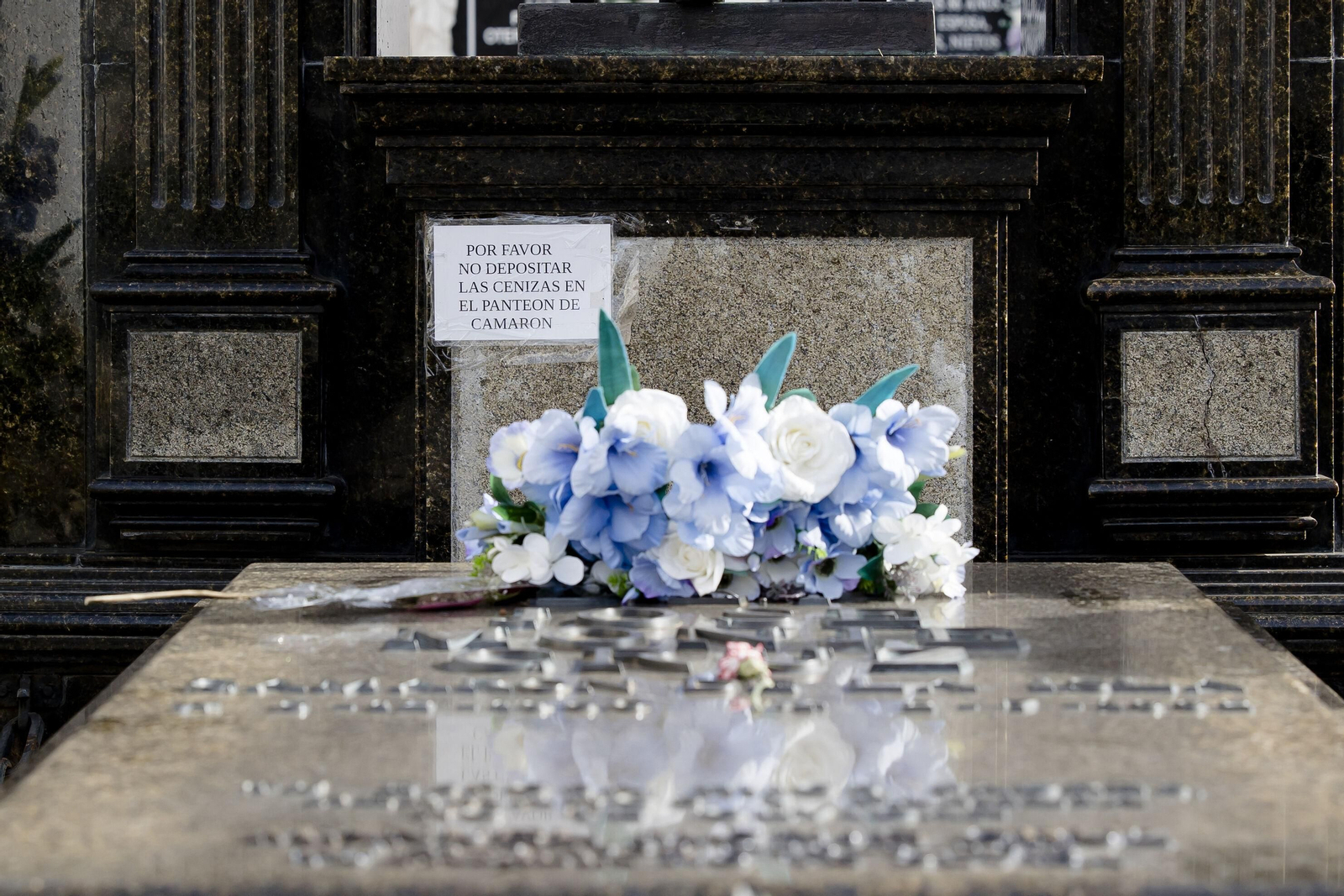 La particularidad de Camarón