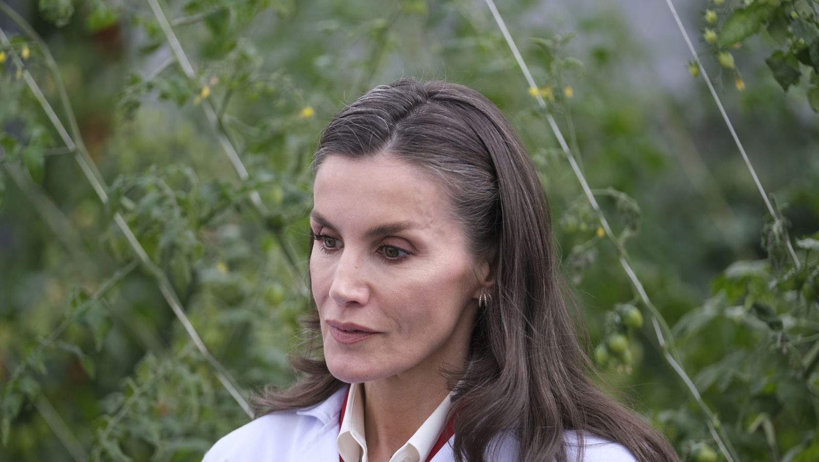 La visita de la reina Letizia a El Ejido, en imágenes