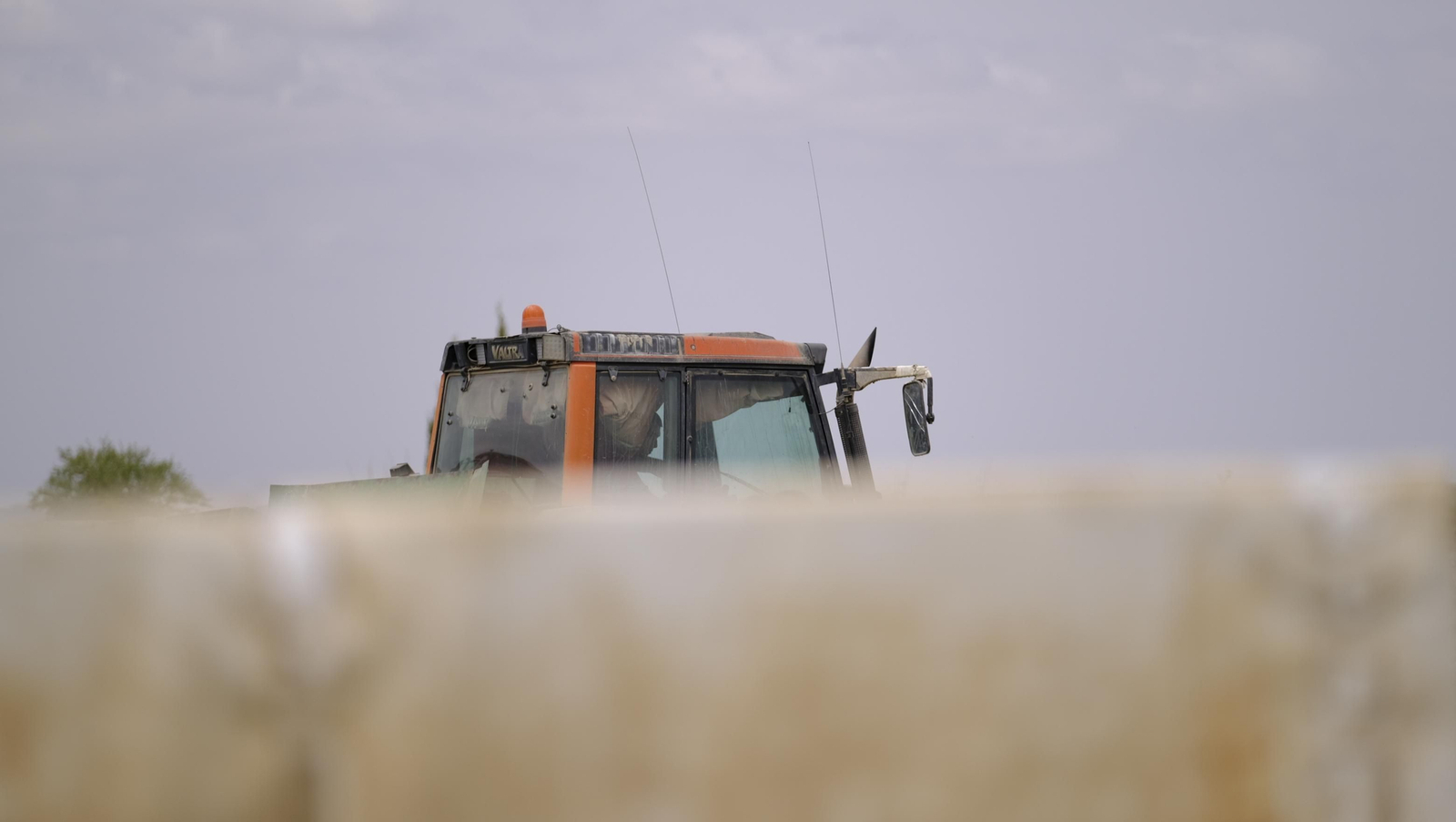 La sandía y el melón de Huércal Overa, manjares en imágenes