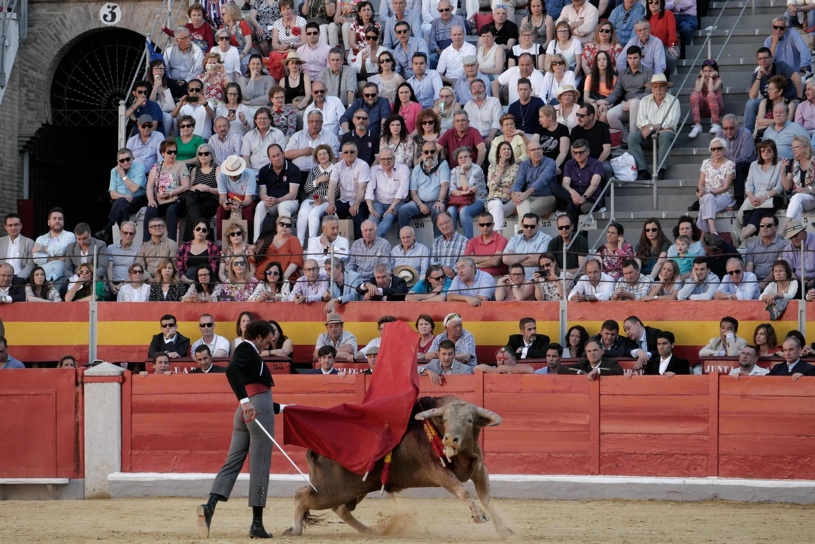 Festival taurino a beneficio de Down Granada