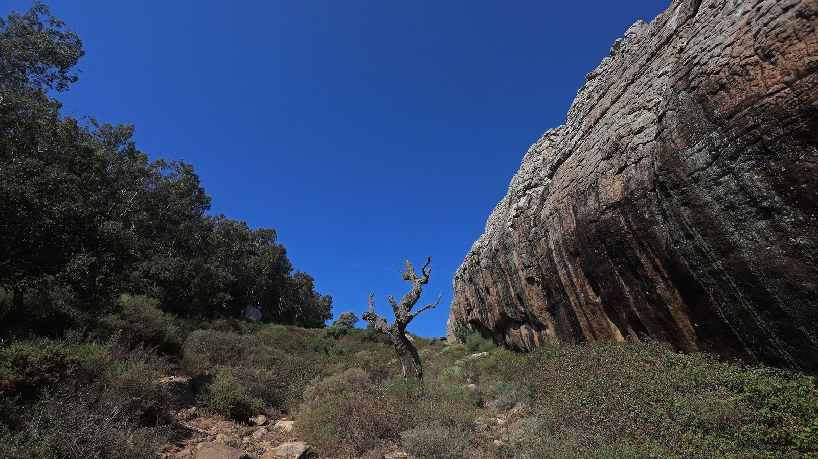 Las mejores imágenes del sendero del Canuto en Tarifa