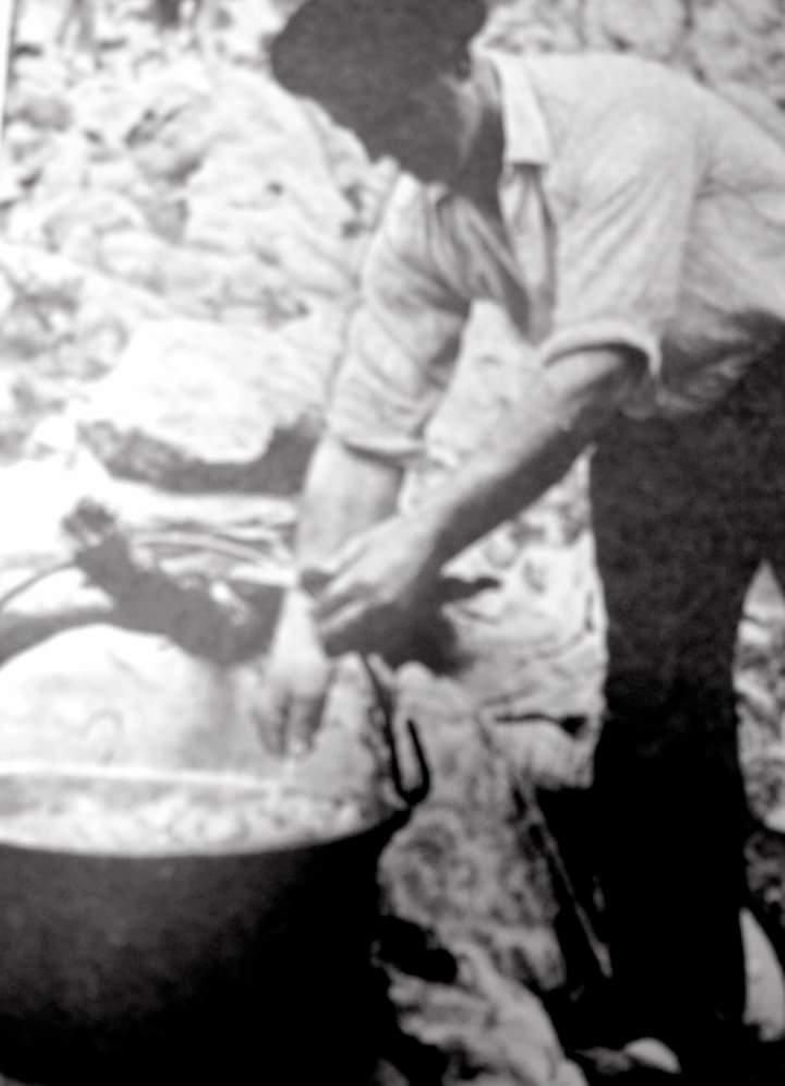 Así trabajaban los pineros de Segura.