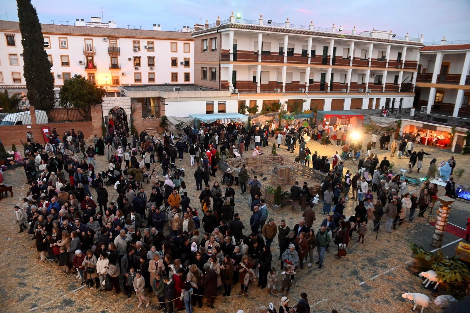 Las mejores imágenes del belén viviente de Salesianos de Córdoba