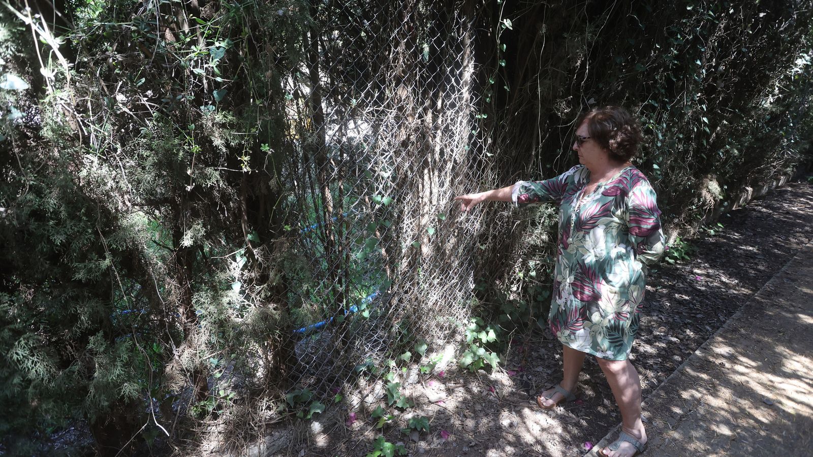 Lugar por el que entraron unos ladrones en una casa.