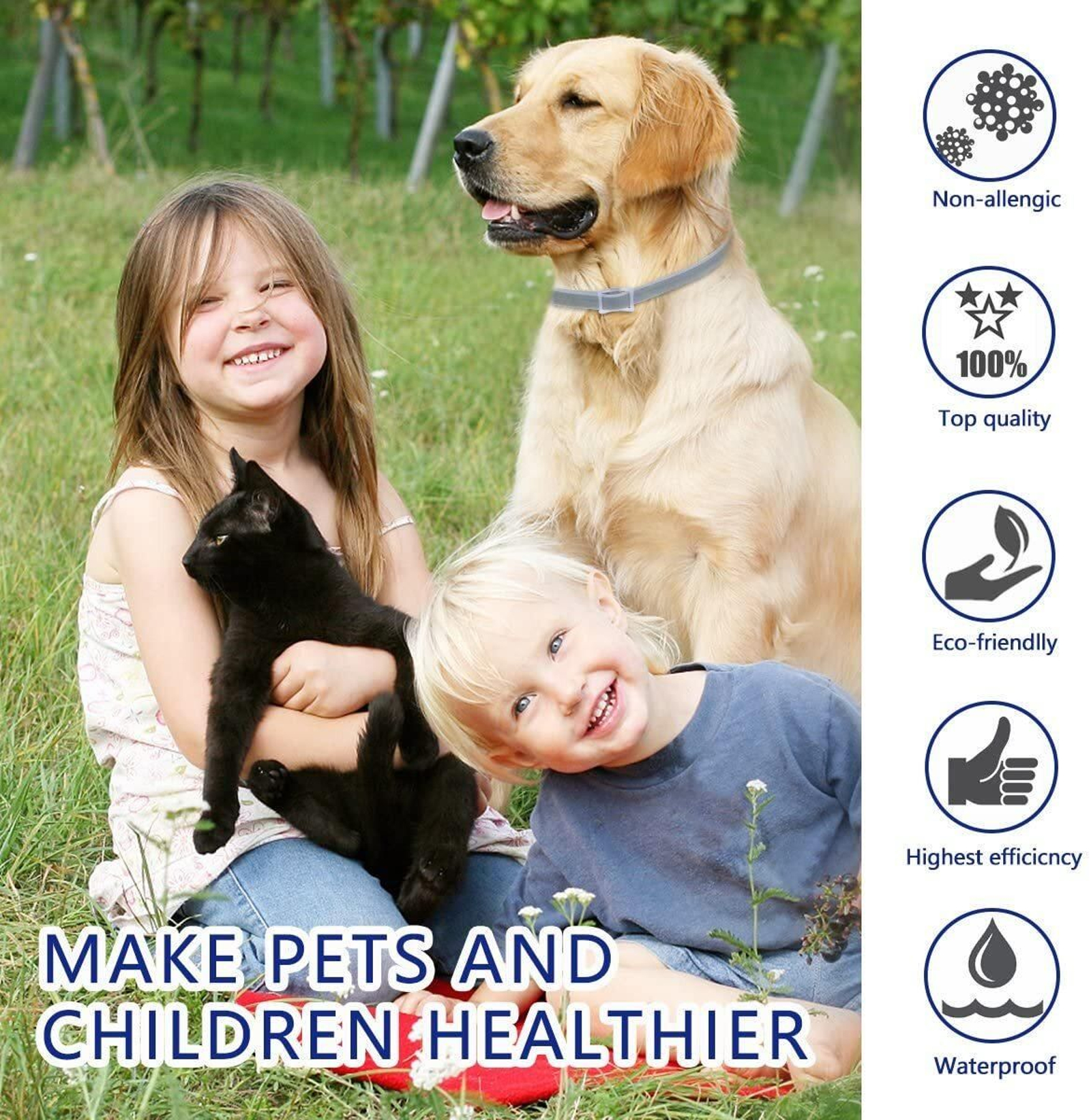 Collar antiparásitos.