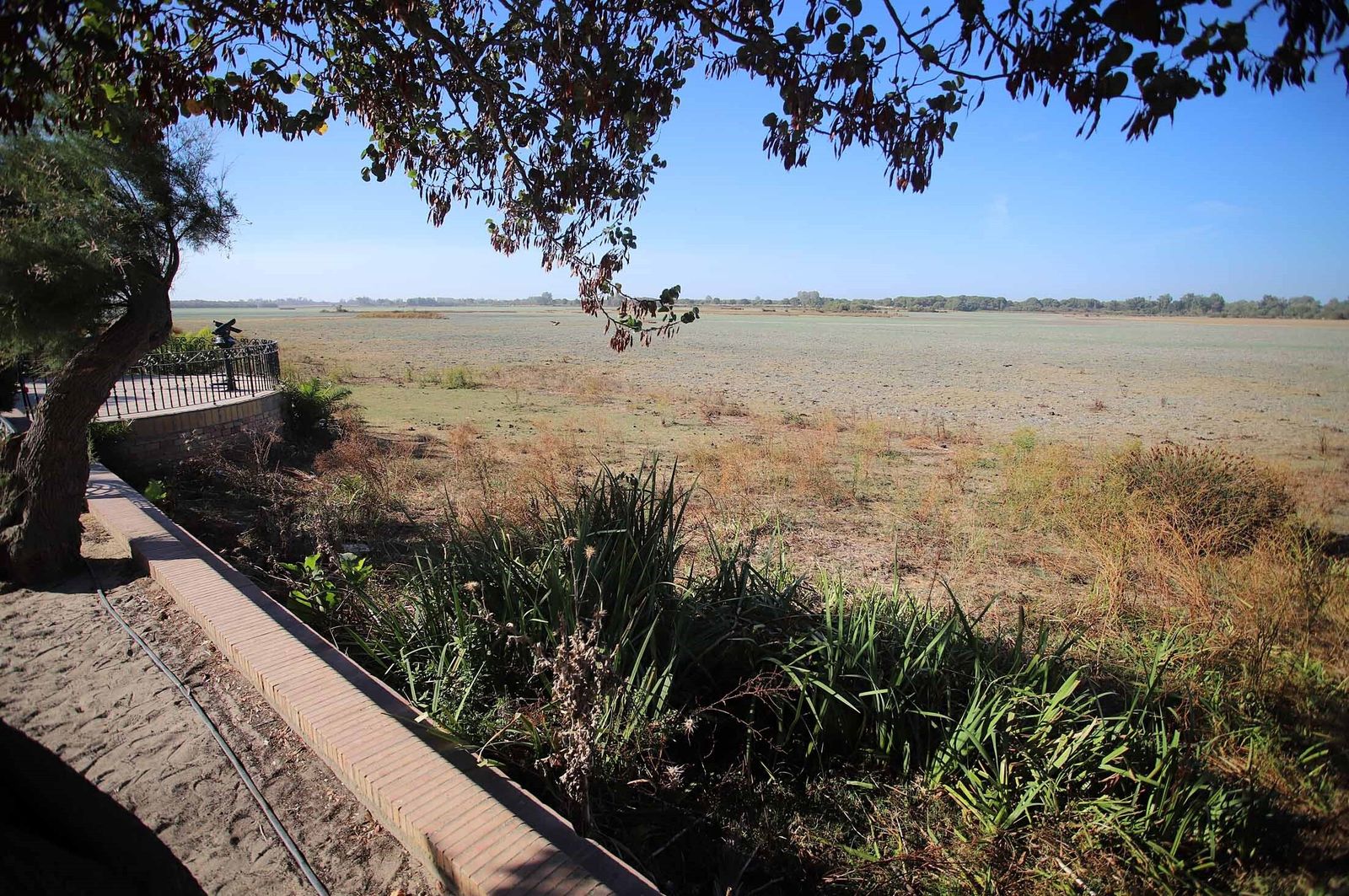 La marisma junto a la ermita de El Rocío seca, en imágenes