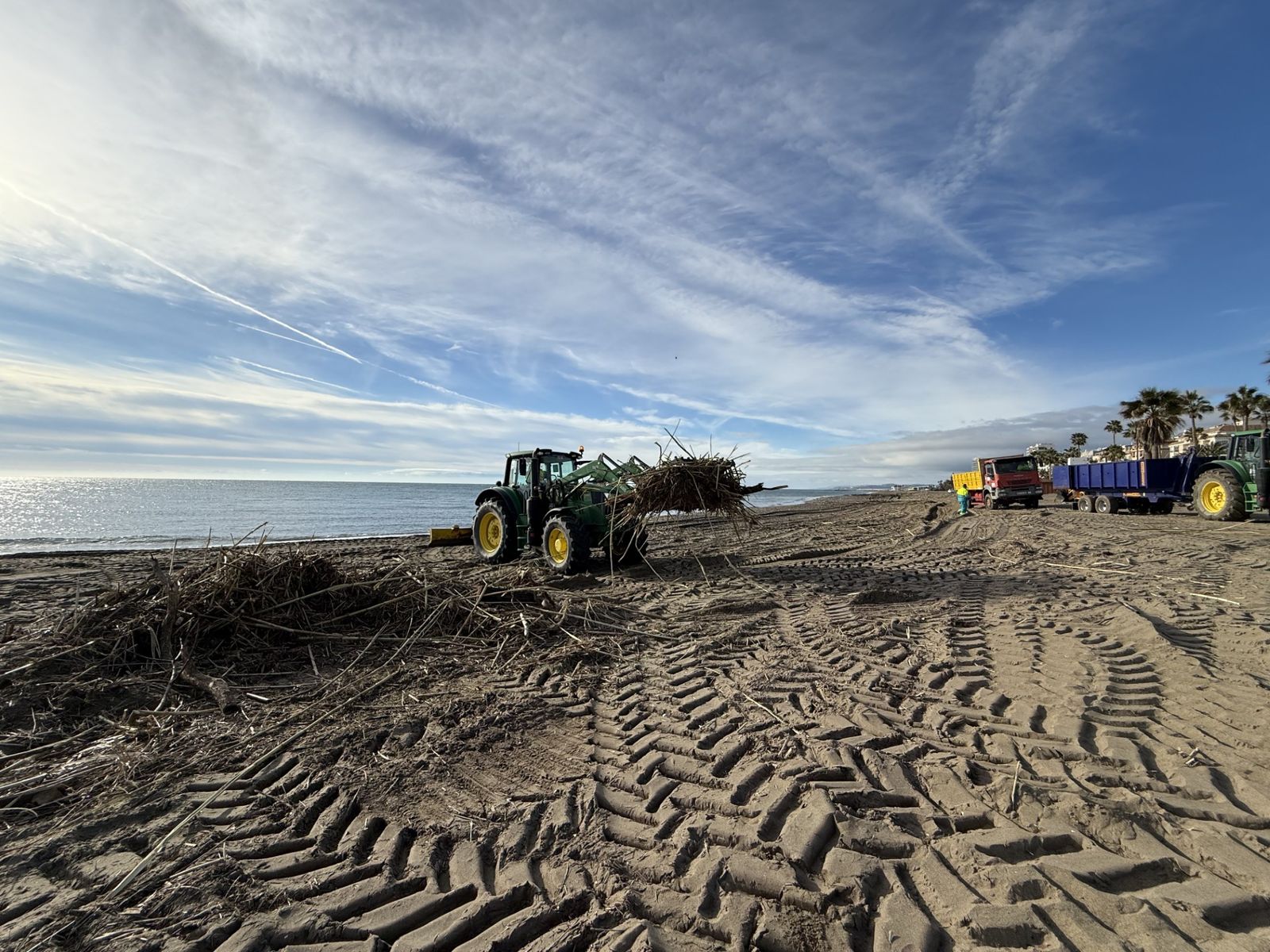 Operarios realizando la limpieza de cañas en una playa.