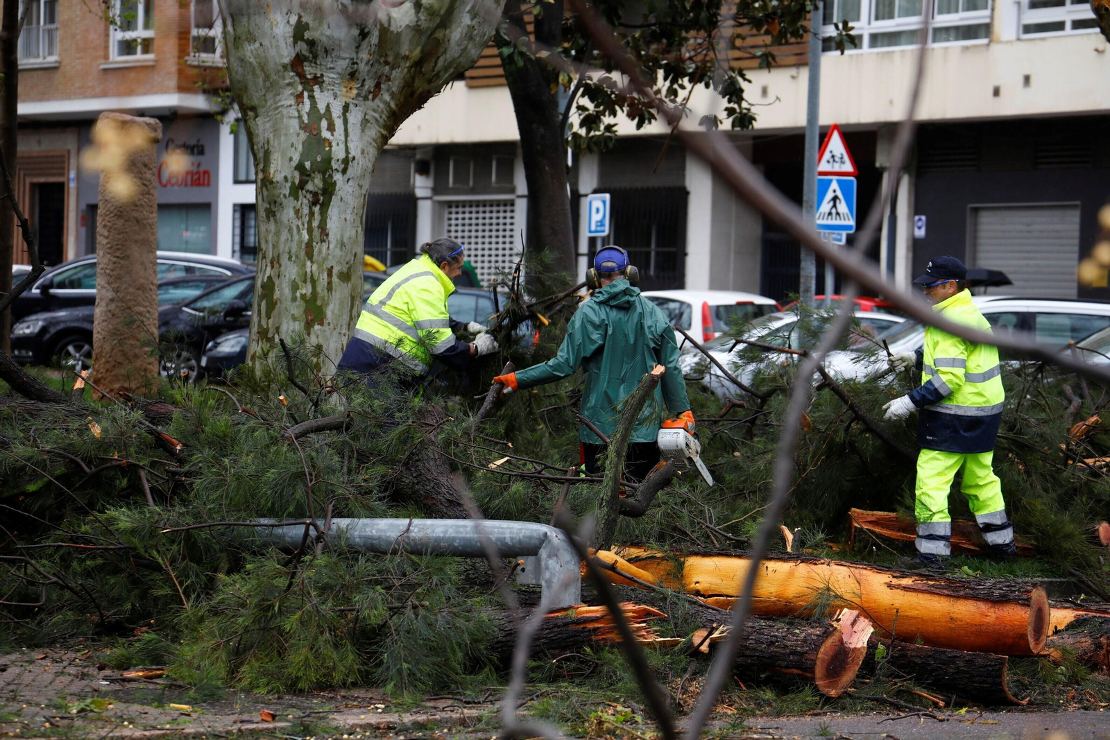Los daños del último temporal que ha pasado por Córdoba, en imágenes