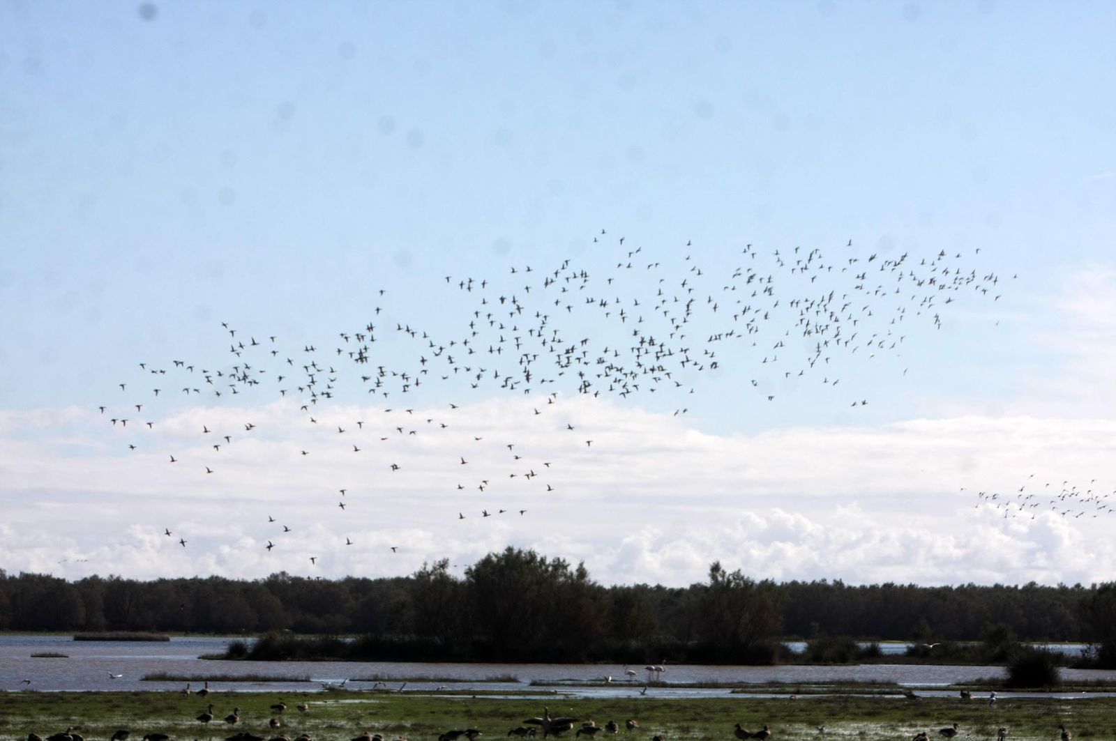 Imágenes de la marisma de El Rocío y de la laguna de El Portil tras las últimas lluvias