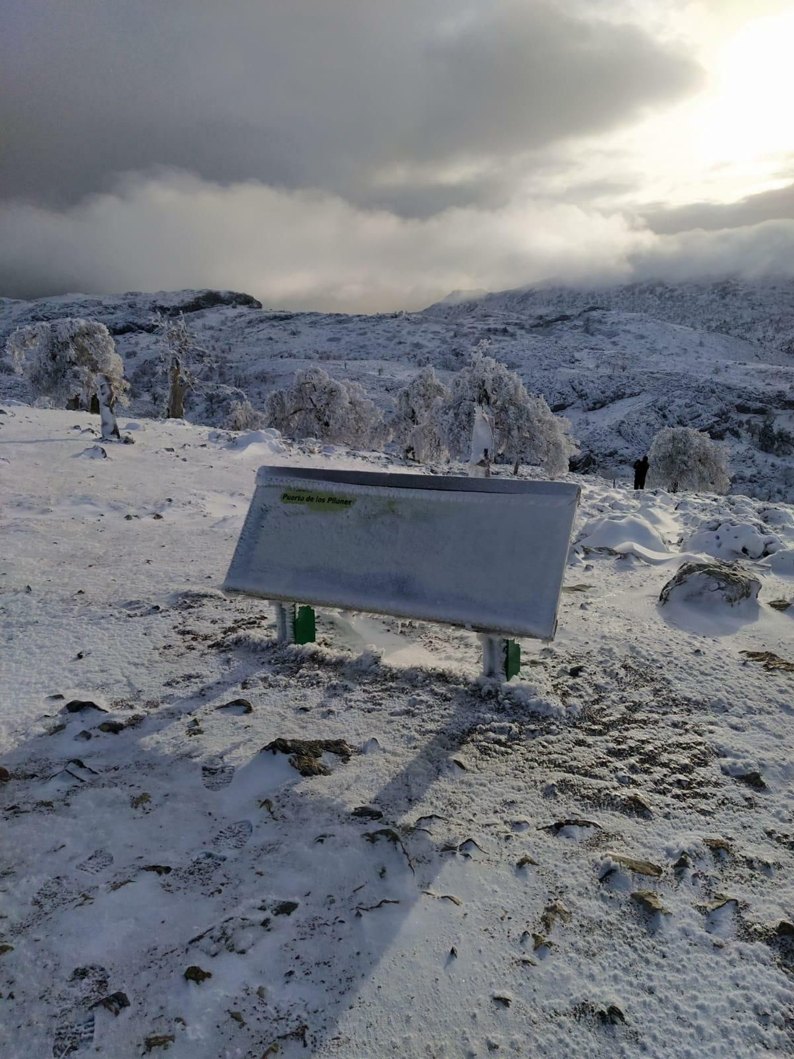 Fotos de la nieve en Ronda, en la subida al Torrecilla
