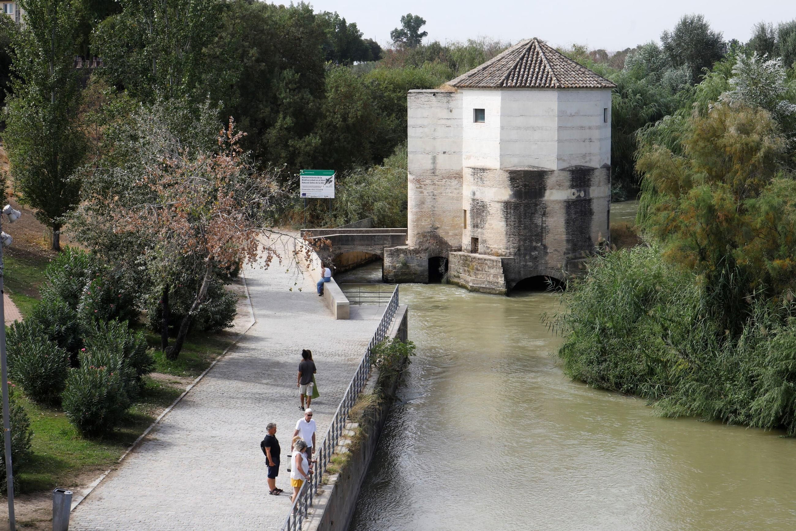 Las imágenes de los Molinos de Córdoba en el río Guadalquivir