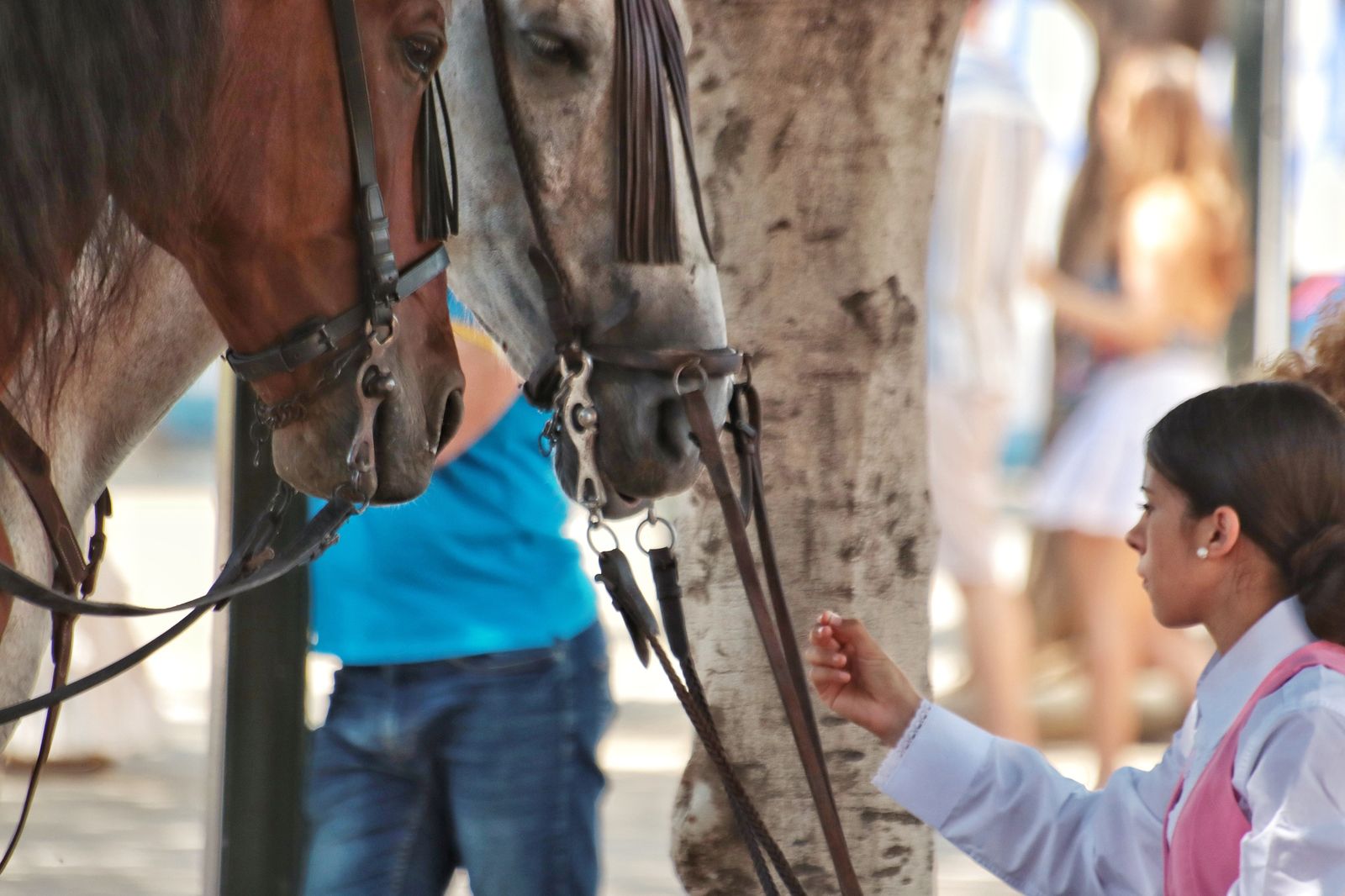 Feria de Málaga: las mejores imágenes de la fiesta en el Real este jueves