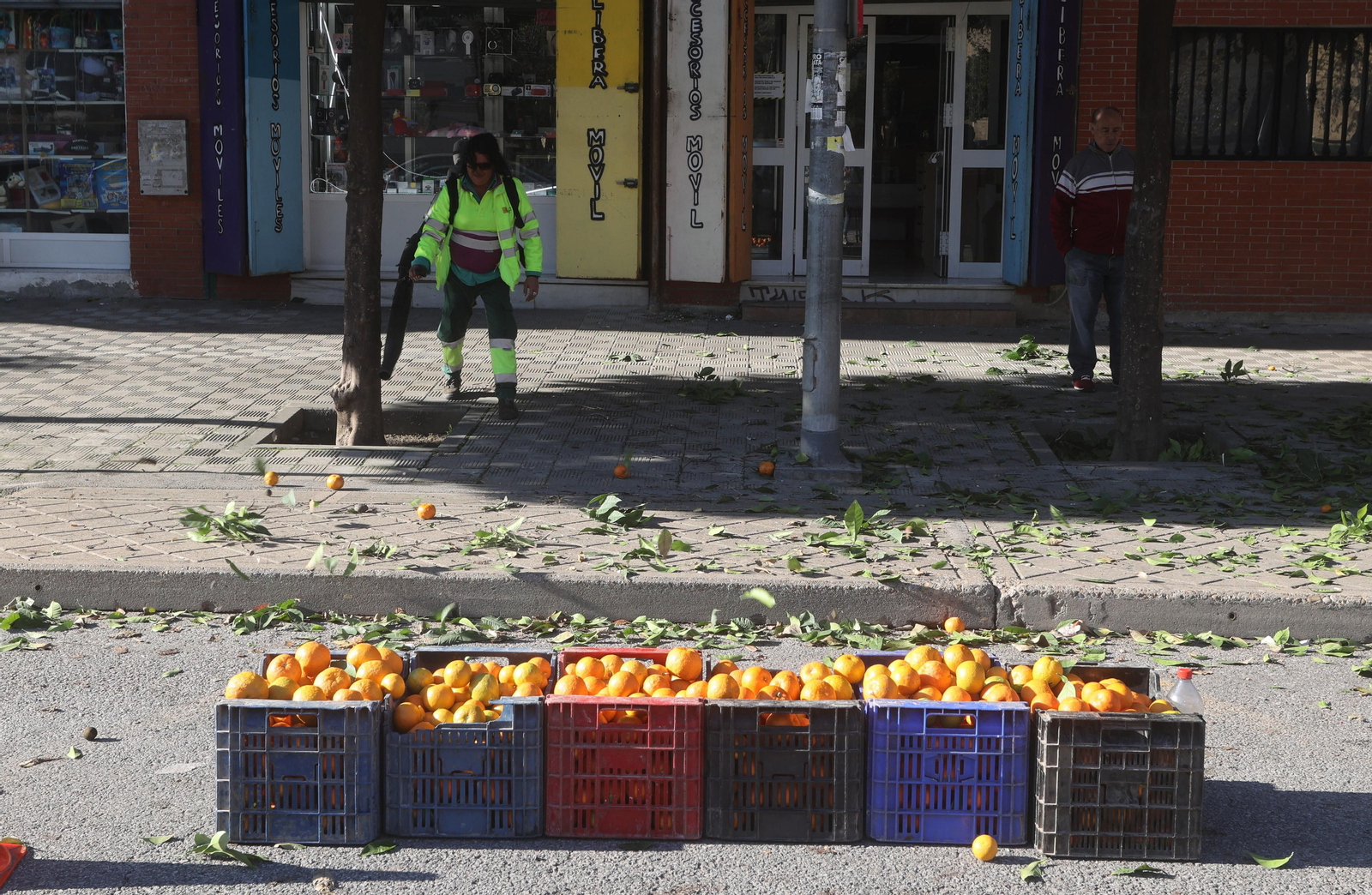 Recogida de la naranja de las calles de Sevilla
